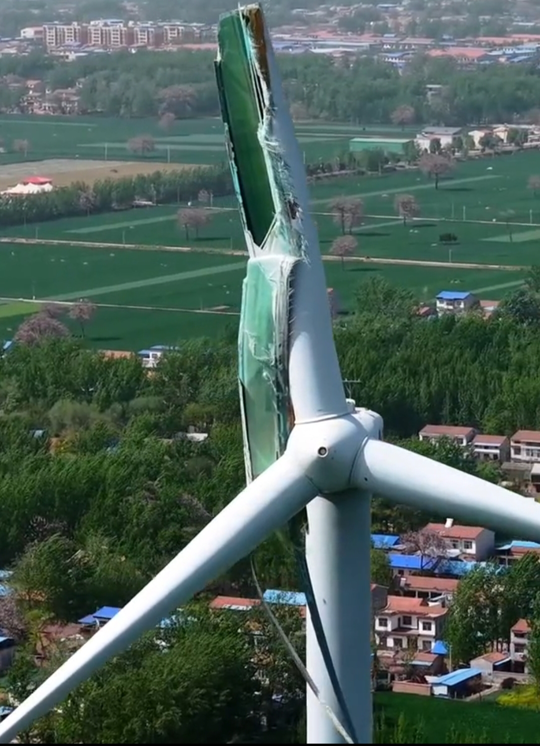 IMG_20260115_113633 IMG_20260115_113633